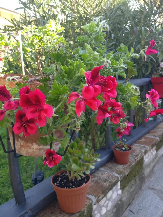 Caicai Bed And Breakfast Saluzzo Dış mekan fotoğraf